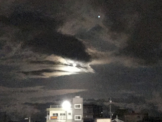 650e999b7f3d45f283432b74e57f31c1