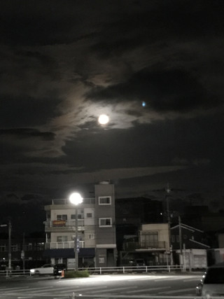 F6a3139e69ce44b6a2756939d9b7b6c7