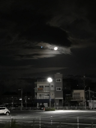 Fe1cc5f083244726ba7de525644f8272