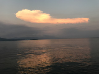 44aa16041460403d8364122f5dbe9193