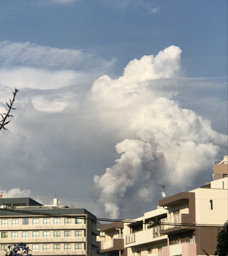 726d73f329f84ce6ac48c71b90d19161