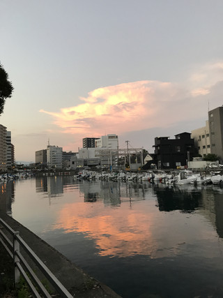 613b862b844b4e6990df9e473370831b