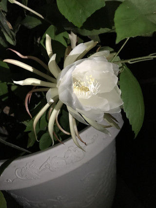 B70d852f18c14131bf65413ae11bb767