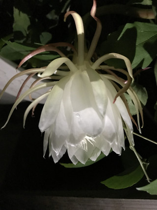 Dd520cfd9e614377b6ea105a731c671a