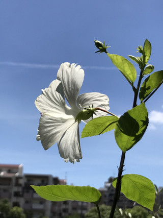 4149b4b5e8c440c2be977a060c4d281c