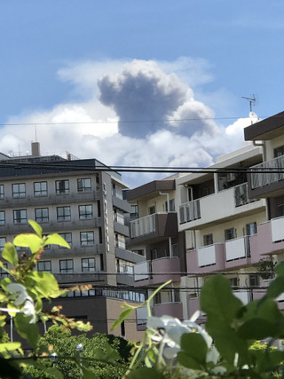 6f377830b3284dfca1860e4da878dd9a