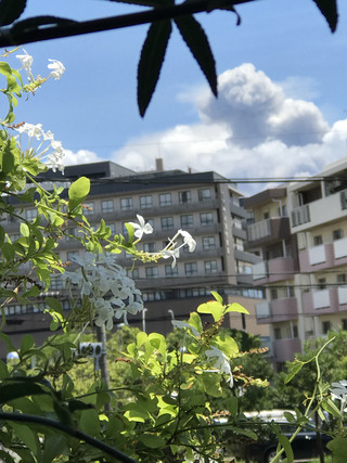 A4aa8008e5a9484ba4c0dd5385b79059