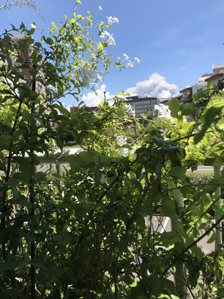 B2b5959f11c6458ca1b19405d24d808a