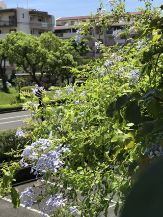 B5c317b96ac14baa92c43a1f7614b38a