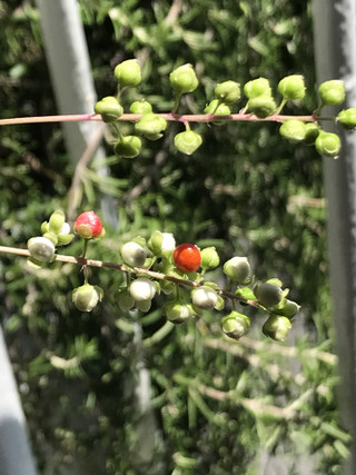 E14e9899700044e59e8167ffce6851ea