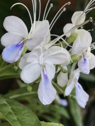 Ee94e951fd55422286f75b95a771ebb5