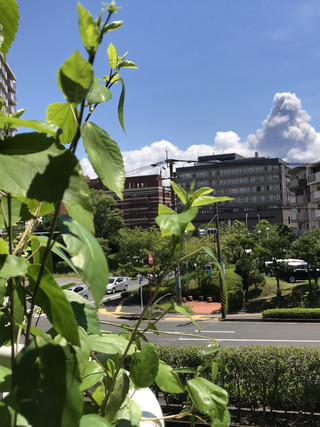 F0a1805483864bad87a7a003976bed49