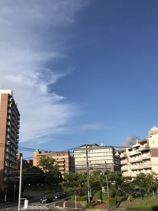 2931a9e49eca433b8ceab49d98ffa97a