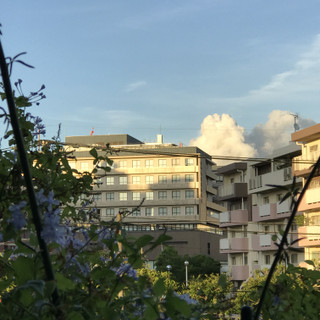 38d8685103074c6bb8f8967cf51068c8