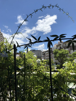 7ee6e386bee04433a6dc5b21cea687b2