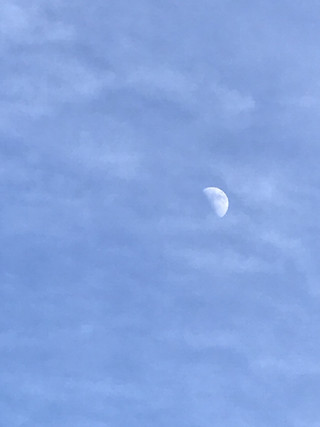 827a39b31d5f423e9bcb4bb38e4c54af