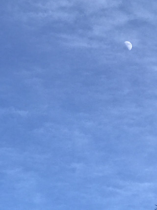 882df256d1154ca6952cfc92a2c9bf4a