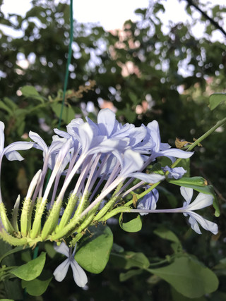 5b25355d5bb849f386b8a408a3ae07b9