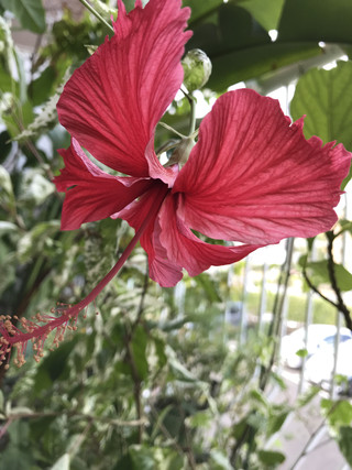 6ddf2d8b8678432c958ae69bc494a374