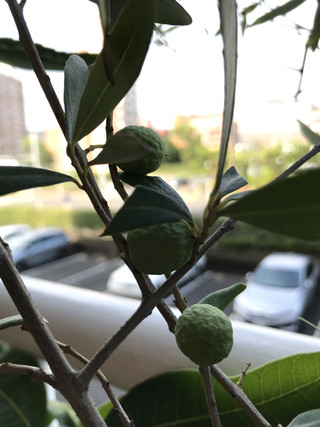 D46b6e41626b4eed9a06fb3fa24e9c6f