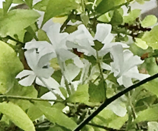 8563e91da49641b79ddc75646ff42aae