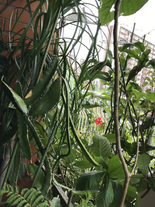 9dbe3b2c716e4fd8ba64a94fb6513763