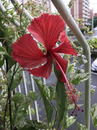 B44db94ebc644224bc657f2da063f88c