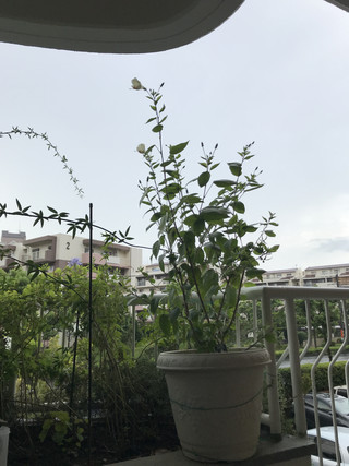 E90f41b087c84c86afc84841f989e469