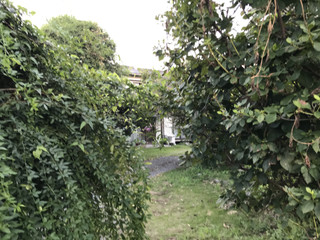 2e22f7a0494044ec85a57c59a3372e8e