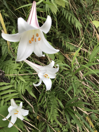 5c5fcad610c64de19b44381dcf632cfb