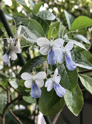 9c28026b63584d208ad686bd5275c8fe