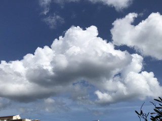 Aa4d01e7769944a2848f0b5a0853fcc7