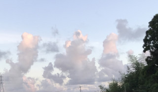 E31804bf45b34b2f84c87f8abd40f66a