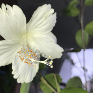 4183dfd57f9f4ec997c908858f16e5c4