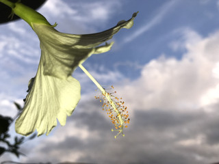 C90f19a13075456588219fd9613b443f