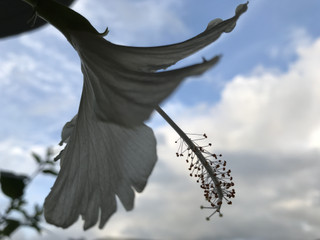 F6e178617de246f89972ee94e1ad0a56