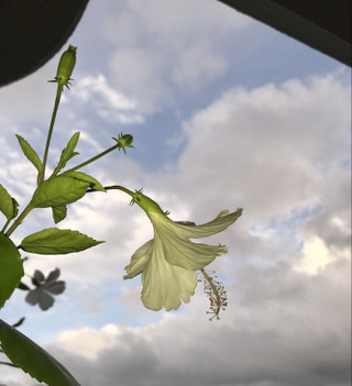 A187f7a18e27439cae879c9d9a563fe3