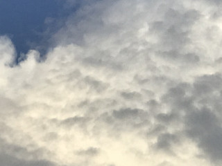 E001e8e9516740c28fef00b25664fd68