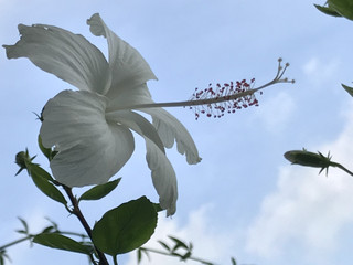 E53b596a5be84f4b9978e2fe79c54a9e