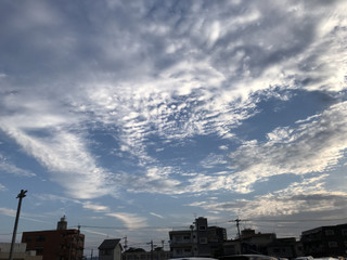 8ec722ed790a4251b3afb02d608606b1