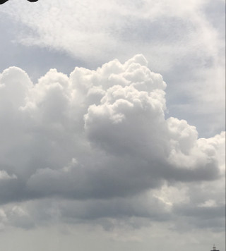 C0ec8f3e654a4d4ba642d9c0c053fb7e