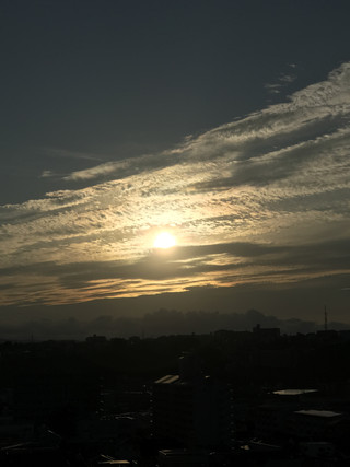 356dd88e67d540eb8bc9c129044ec655