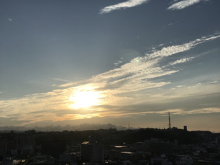 6ed10d4d042b40ca9bfde082e529da29