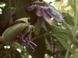 07effe44362f46d69abd8cd487104e7a