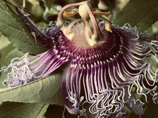 1e8991e172214bb39c5b84ae6d4de72d