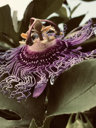 76b6d009f092421784a23148eb5a3af2