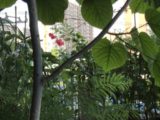 56a54bc548354c708142690d062dd2f9