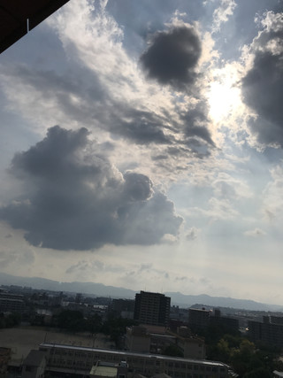 3d40e3d7a56c4f799e0fdc2e5729ec50