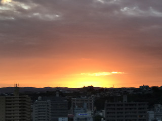 7954f5824b0b4bc0ad297a71c12a7ce9