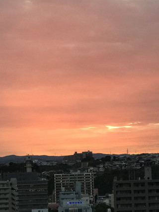 Ccae308f0731479882bd13feeb1356dc